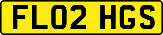 FL02HGS