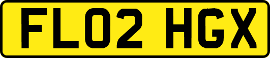 FL02HGX