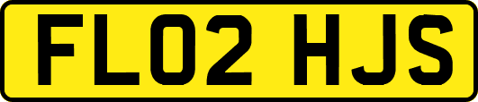 FL02HJS