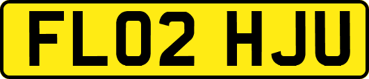 FL02HJU