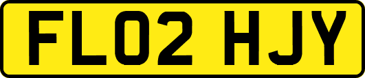 FL02HJY
