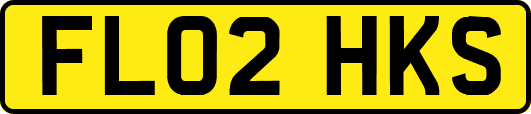 FL02HKS