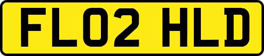 FL02HLD