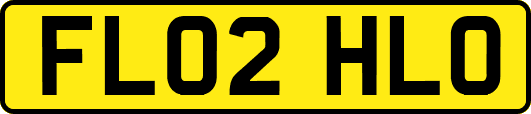 FL02HLO