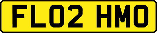FL02HMO