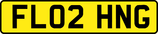 FL02HNG