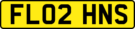FL02HNS
