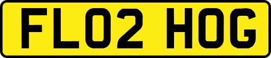 FL02HOG