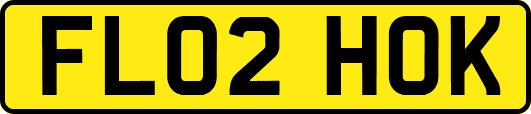 FL02HOK