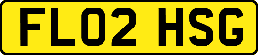 FL02HSG