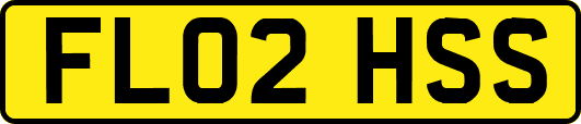 FL02HSS