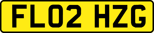 FL02HZG