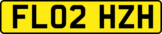 FL02HZH