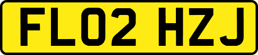 FL02HZJ