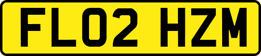 FL02HZM