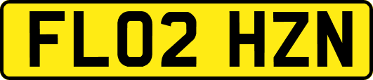 FL02HZN