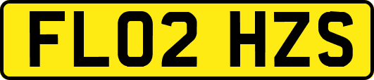 FL02HZS