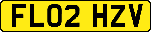 FL02HZV