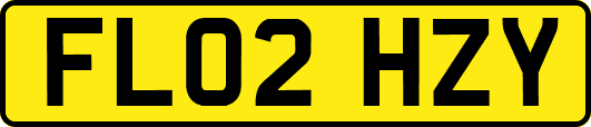 FL02HZY