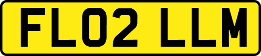 FL02LLM