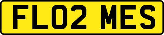 FL02MES