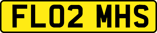 FL02MHS