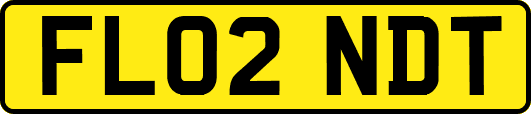 FL02NDT