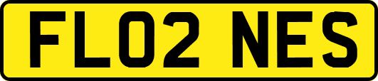 FL02NES