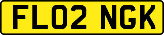 FL02NGK