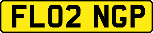 FL02NGP