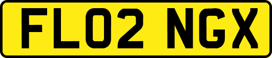 FL02NGX