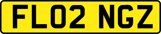 FL02NGZ
