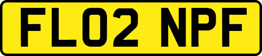 FL02NPF