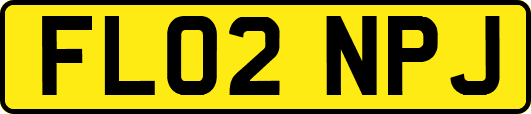 FL02NPJ