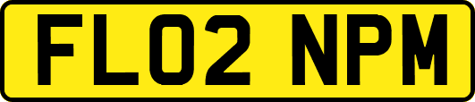 FL02NPM