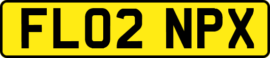 FL02NPX