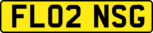 FL02NSG