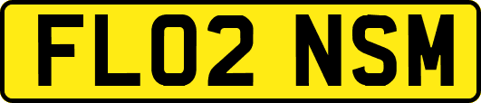 FL02NSM