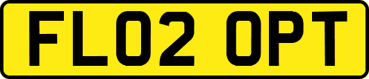 FL02OPT