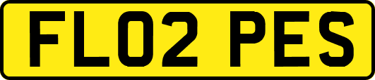 FL02PES