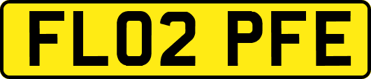 FL02PFE
