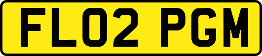 FL02PGM