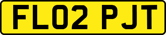 FL02PJT