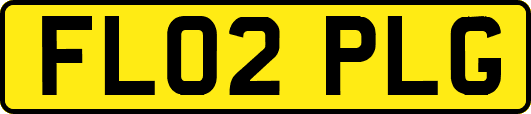 FL02PLG