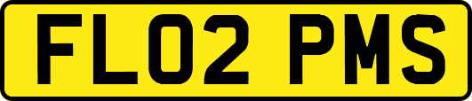 FL02PMS