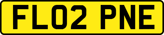 FL02PNE