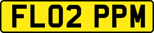 FL02PPM