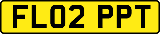 FL02PPT