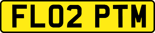 FL02PTM