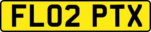 FL02PTX